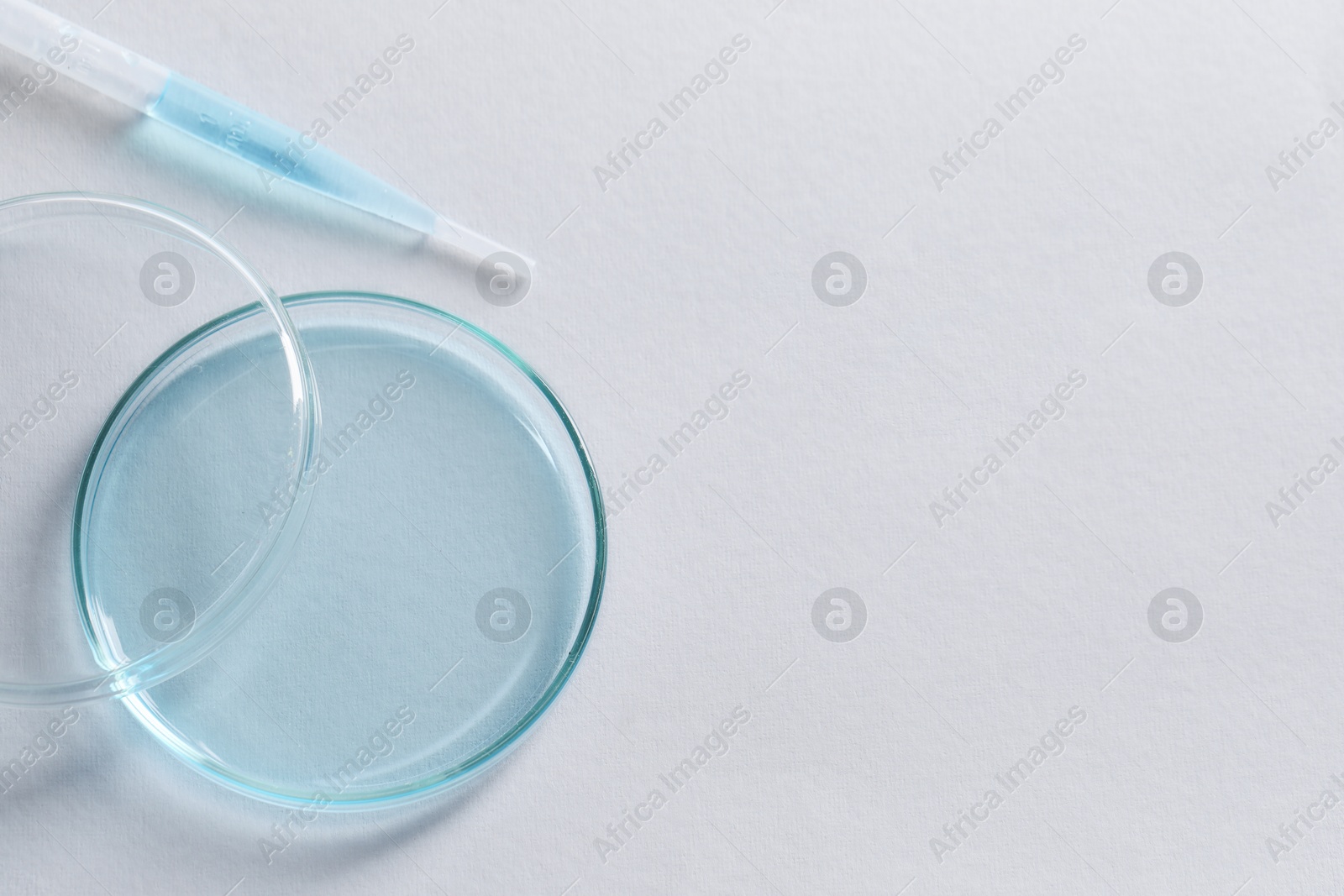 Photo of Transfer pipette and petri dish on white background, top view. Space for text