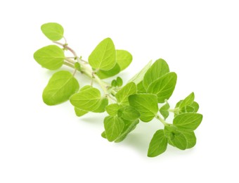 Photo of Sprigs of fresh green oregano isolated on white