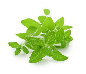 Sprigs of fresh green oregano isolated on white