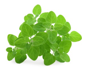 Photo of Sprigs of fresh green oregano isolated on white