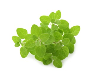 Photo of Sprigs of fresh green oregano isolated on white