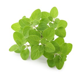 Photo of Sprigs of fresh green oregano isolated on white