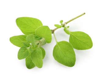 Photo of Sprig of fresh green oregano isolated on white