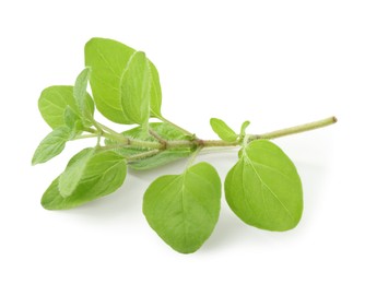 Photo of Sprig of fresh green oregano isolated on white