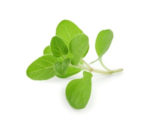 Photo of Sprig of fresh green oregano isolated on white