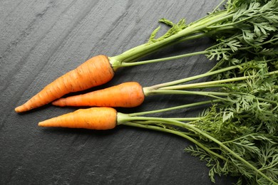 Tasty ripe juicy carrots on dark gray textured table, top view