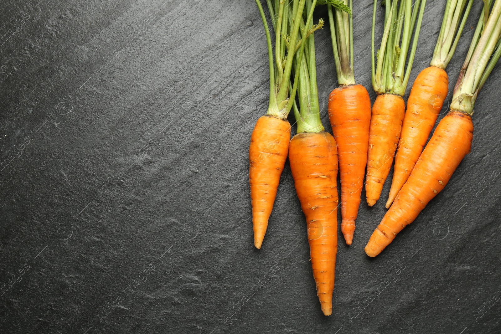 Photo of Tasty ripe juicy carrots on dark gray textured table, top view. Space for text