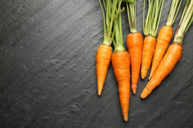 Photo of Tasty ripe juicy carrots on dark gray textured table, top view. Space for text