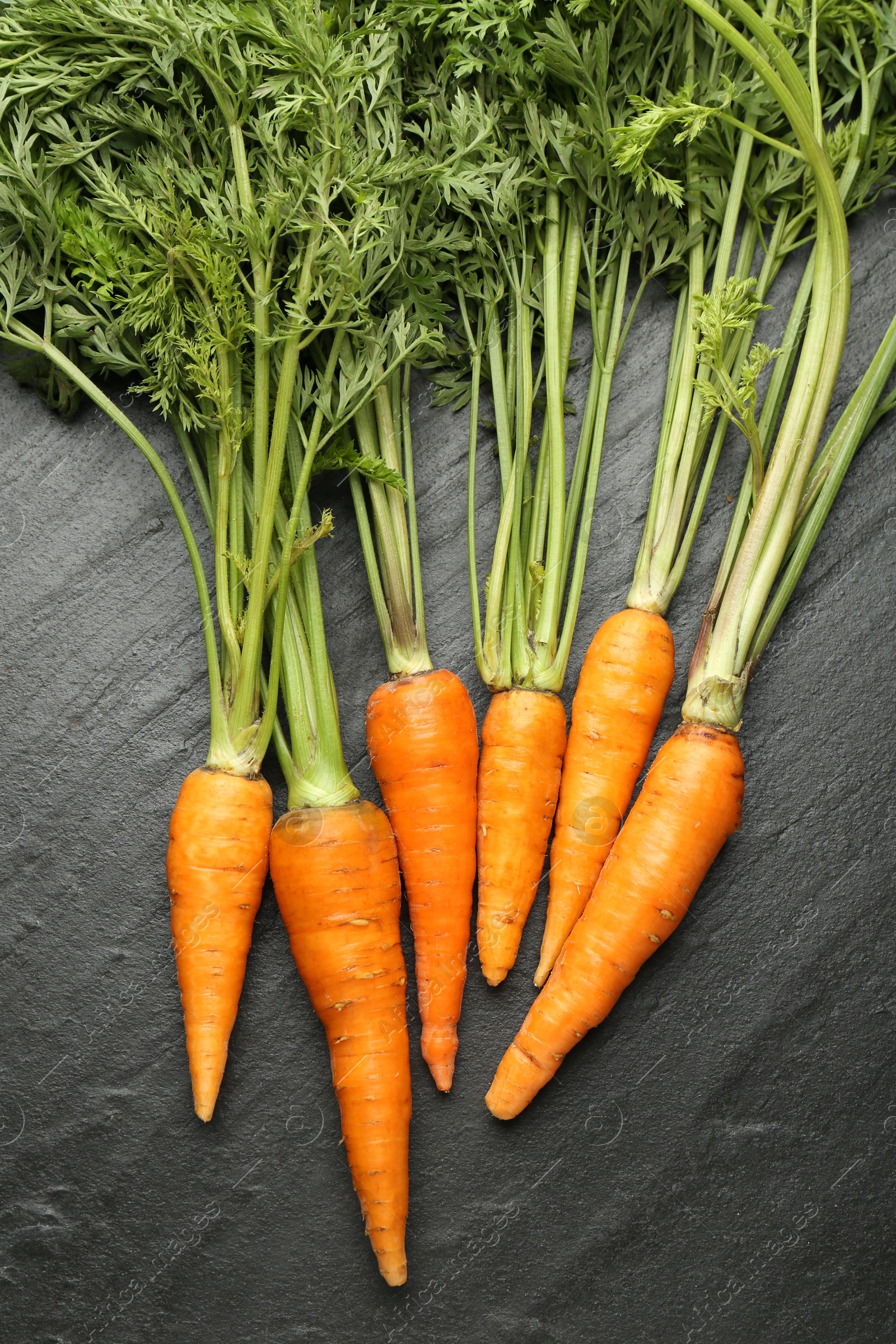 Photo of Tasty ripe juicy carrots on dark gray textured table, top view