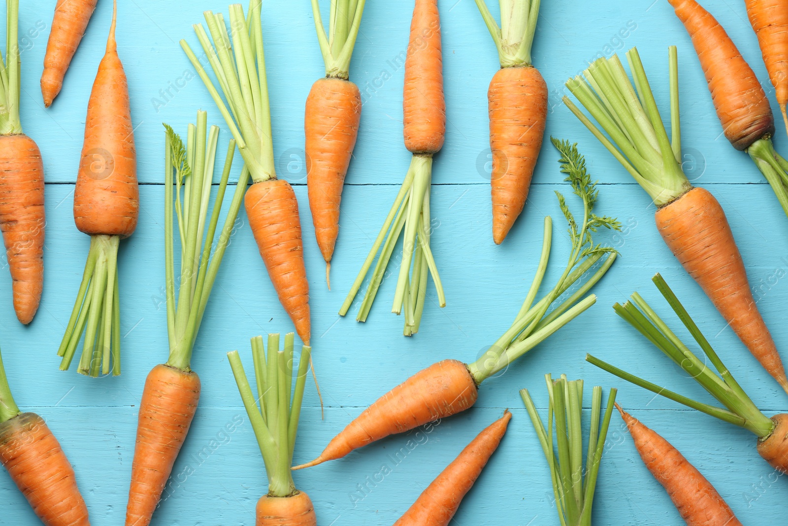 Photo of Tasty ripe juicy carrots on light blue wooden table, top view