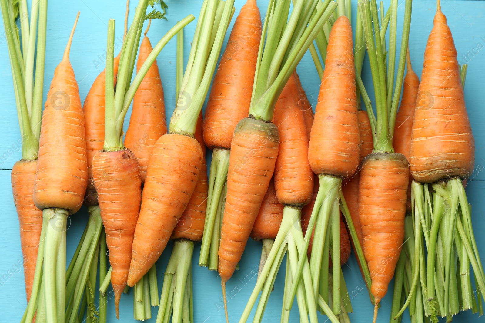 Photo of Tasty ripe juicy carrots on light blue wooden table, top view