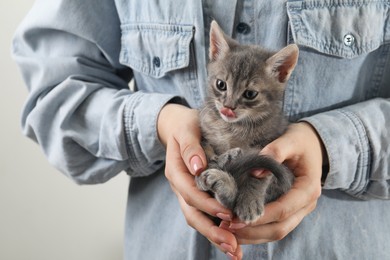 Photo of Woman with cute fluffy kitten on grey background, closeup