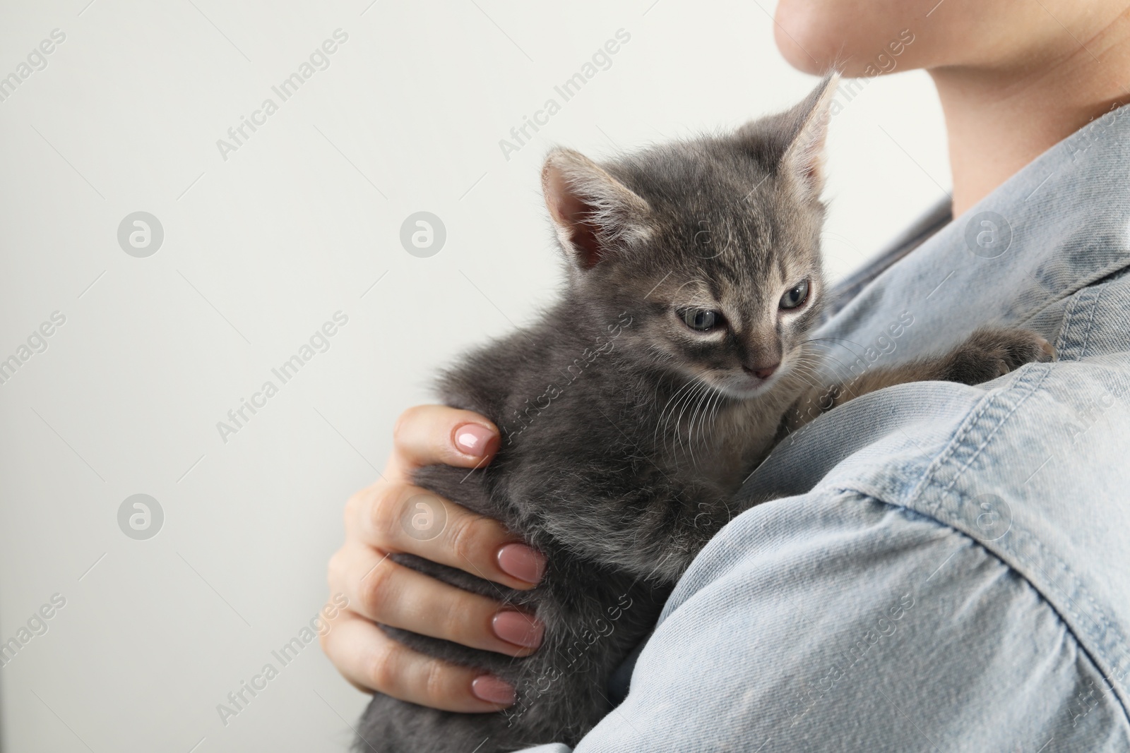 Photo of Woman with cute fluffy kitten on grey background, closeup. Space for text