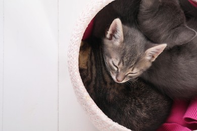 Photo of Cute fluffy kittens in basket on white wooden table, above view. Baby animals