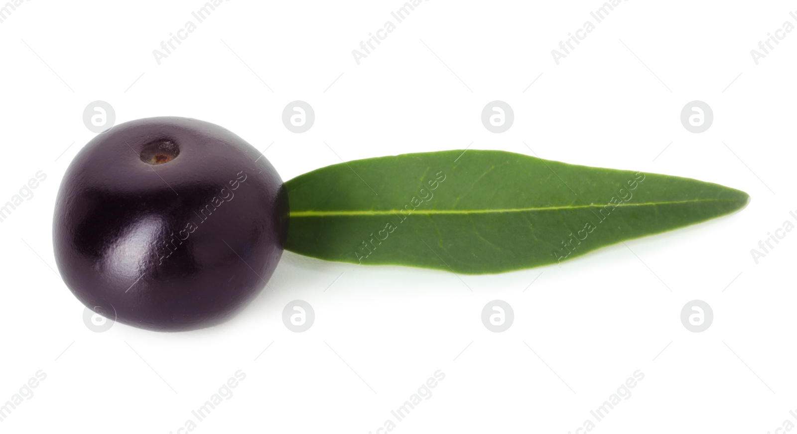 Photo of Fresh ripe acai berry and green leaf isolated on white