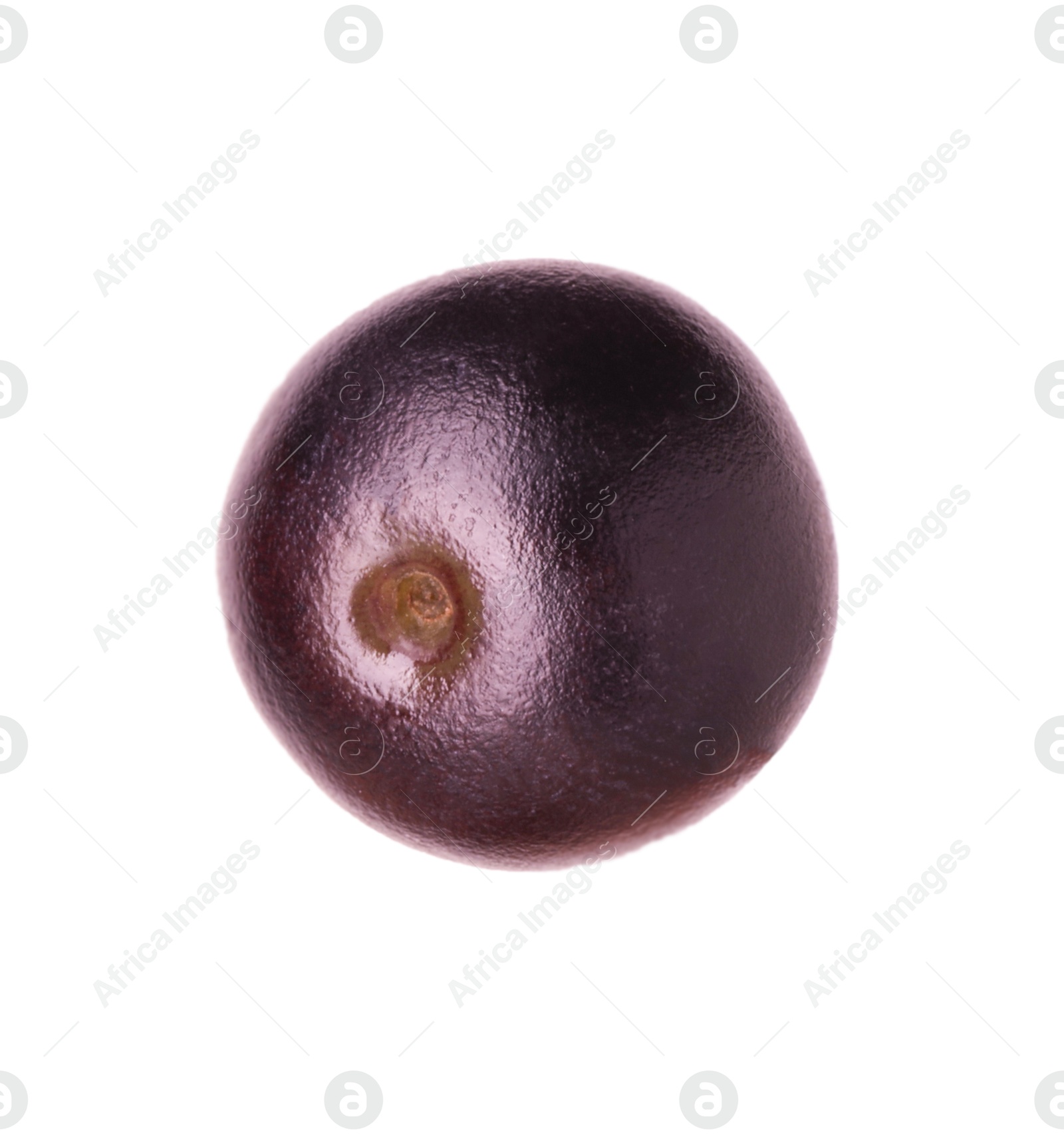 Photo of Fresh ripe acai berry isolated on white