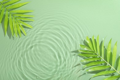 Photo of Palm leaves in water on light green background, flat lay. Space for text