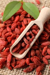 Dried goji berries and scoop on burlap fabric, closeup