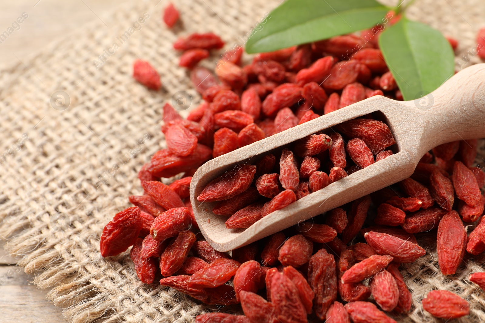 Photo of Dried goji berries and scoop on table, closeup