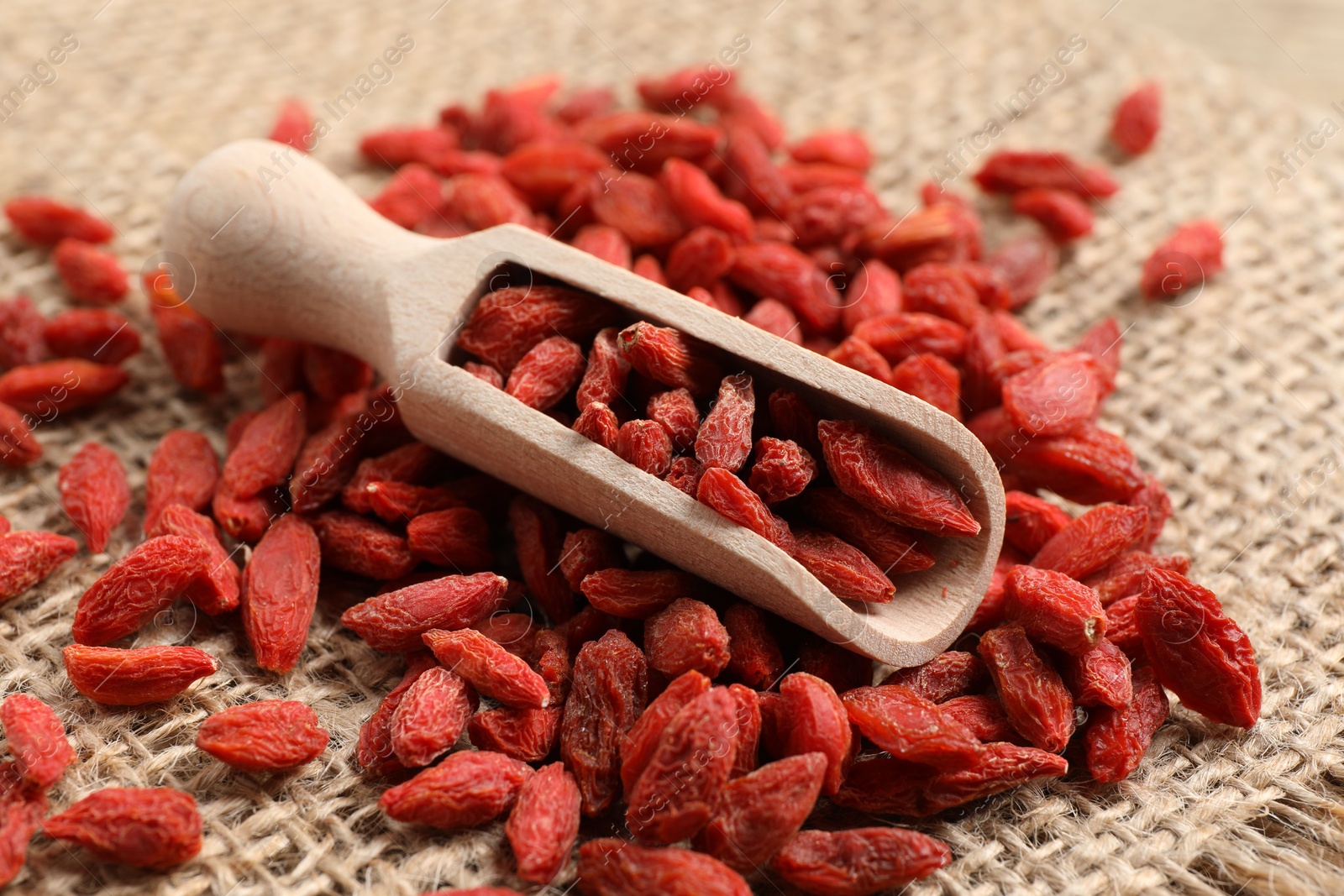 Photo of Dried goji berries and scoop on burlap fabric, closeup