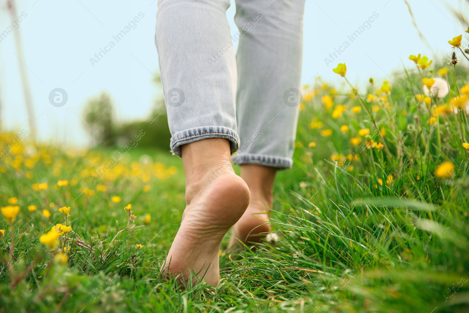 Photo of Woman walking barefoot on green grass outdoors, closeup