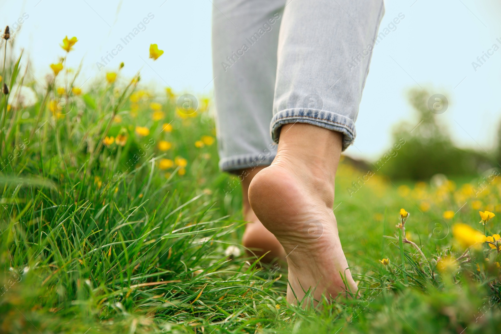 Photo of Woman walking barefoot on green grass outdoors, closeup