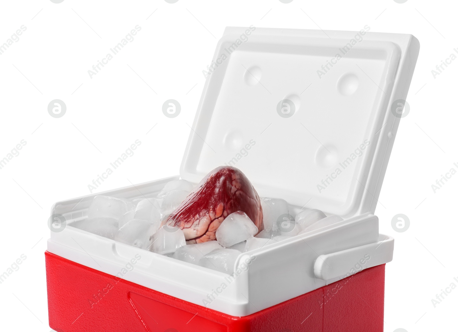 Photo of Heart with ice in cool box on white background