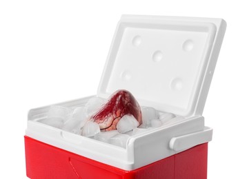 Heart with ice in cool box on white background