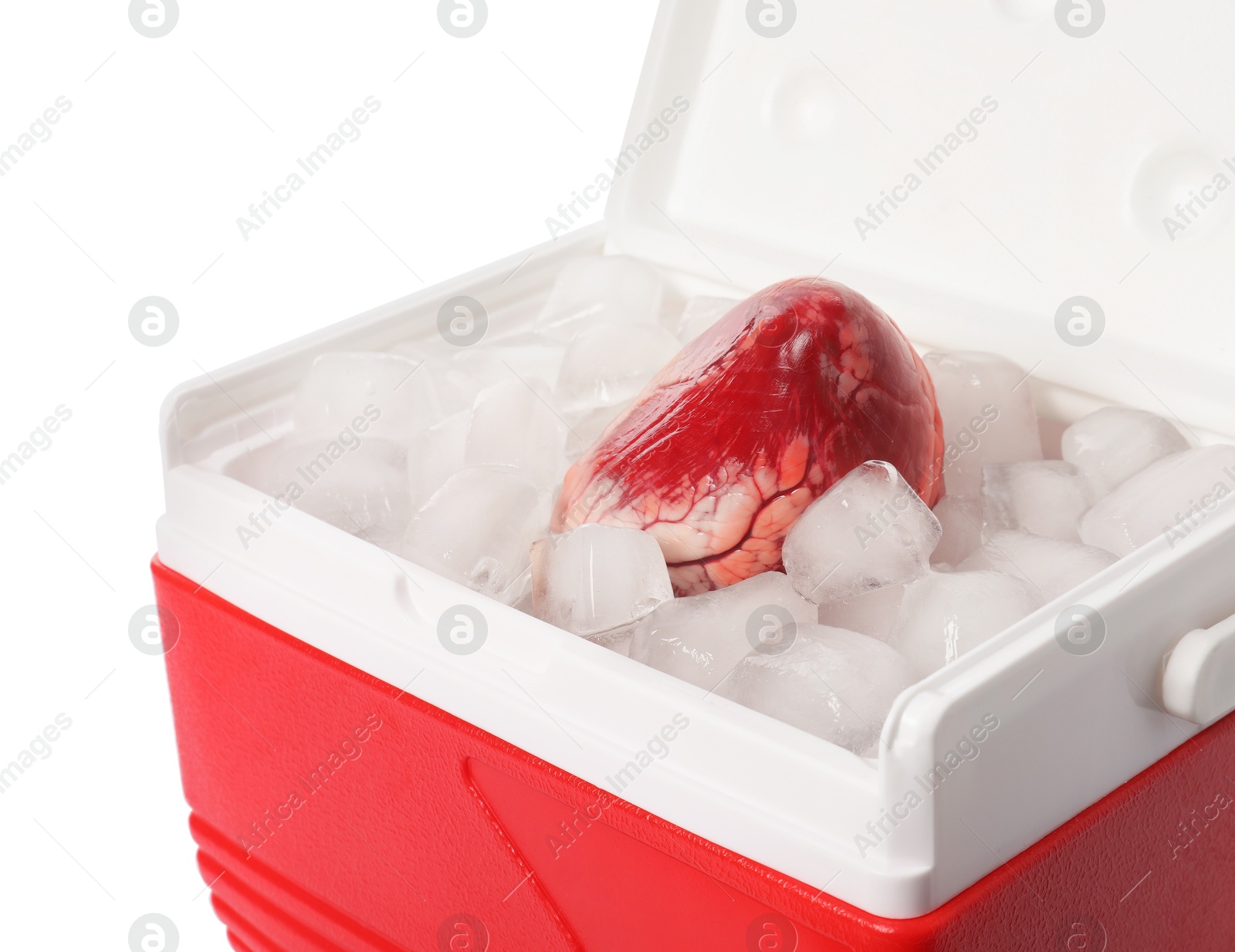 Photo of Heart with ice in cool box on white background