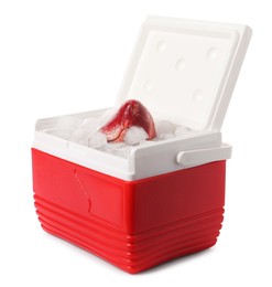 Heart with ice in cool box on white background