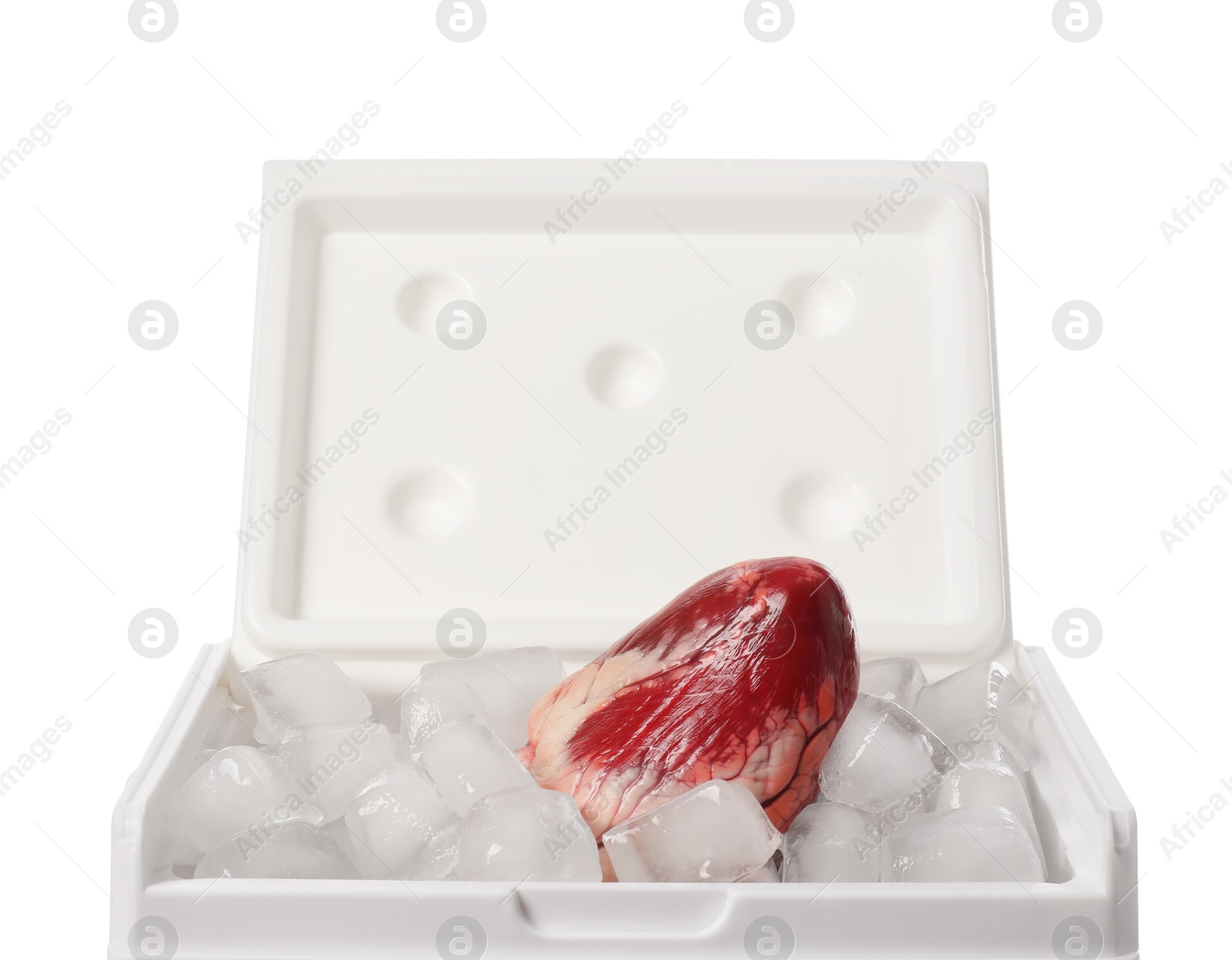 Photo of Heart with ice in cool box on white background