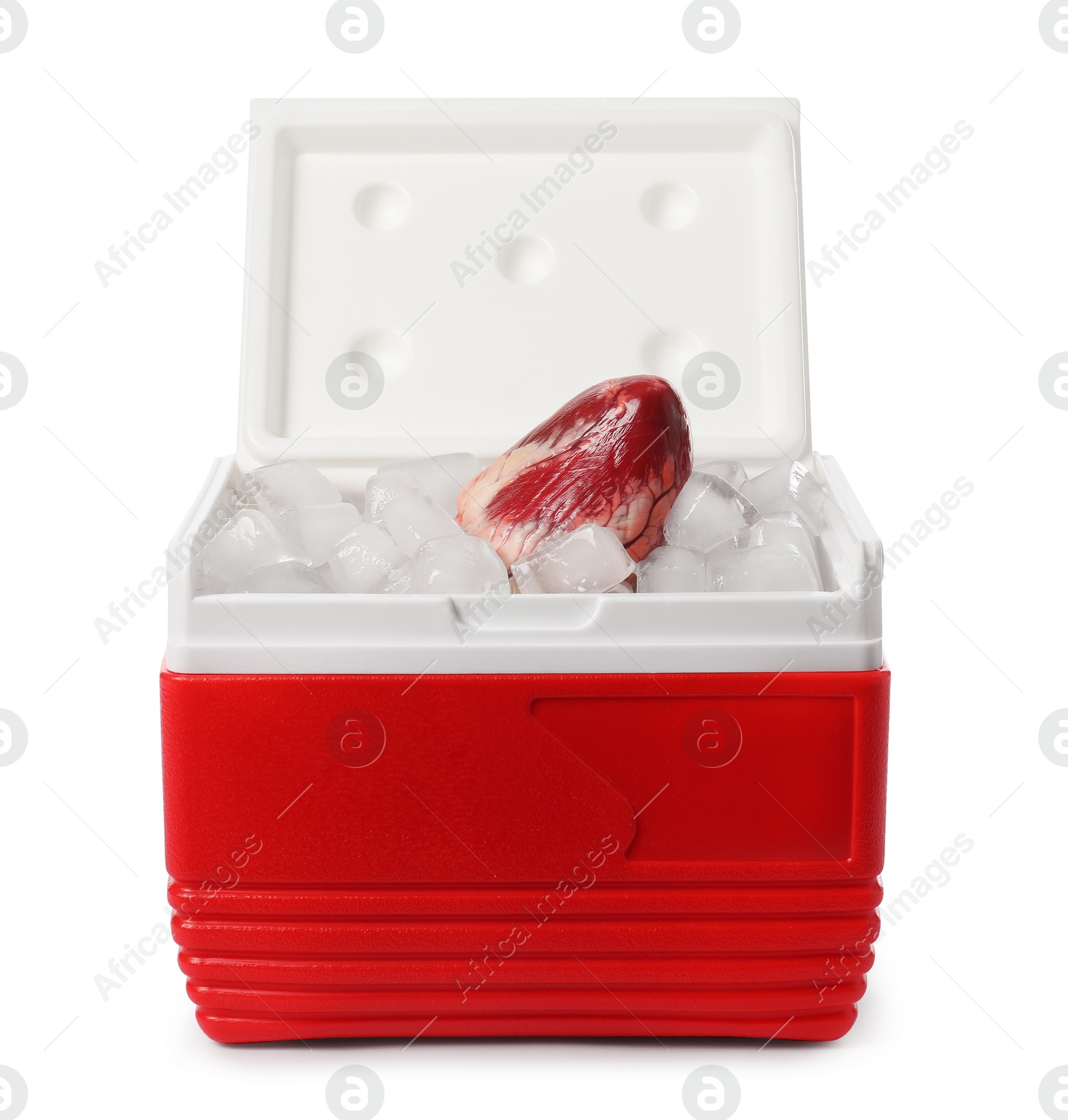 Photo of Heart with ice in cool box on white background