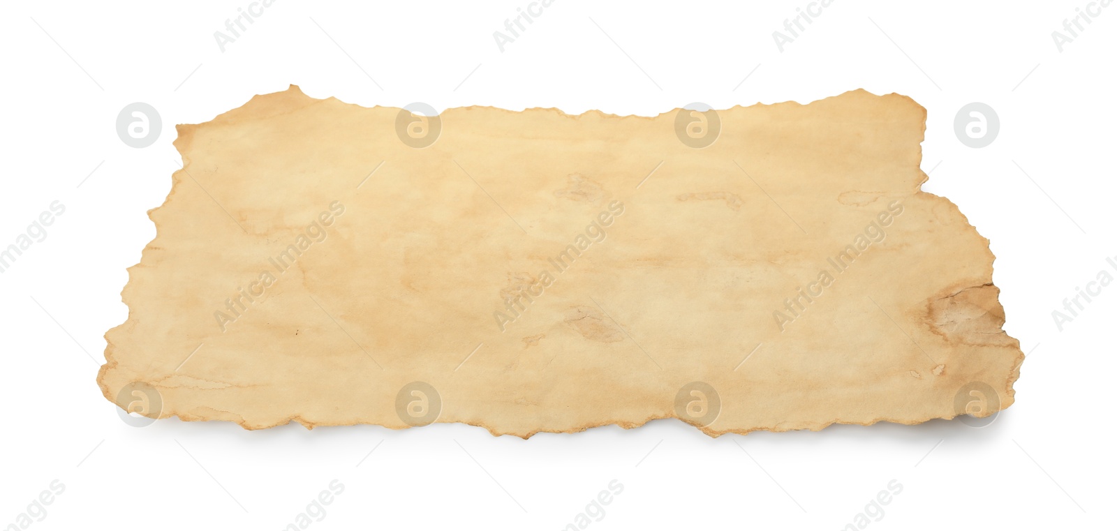 Photo of Sheet of old parchment paper isolated on white