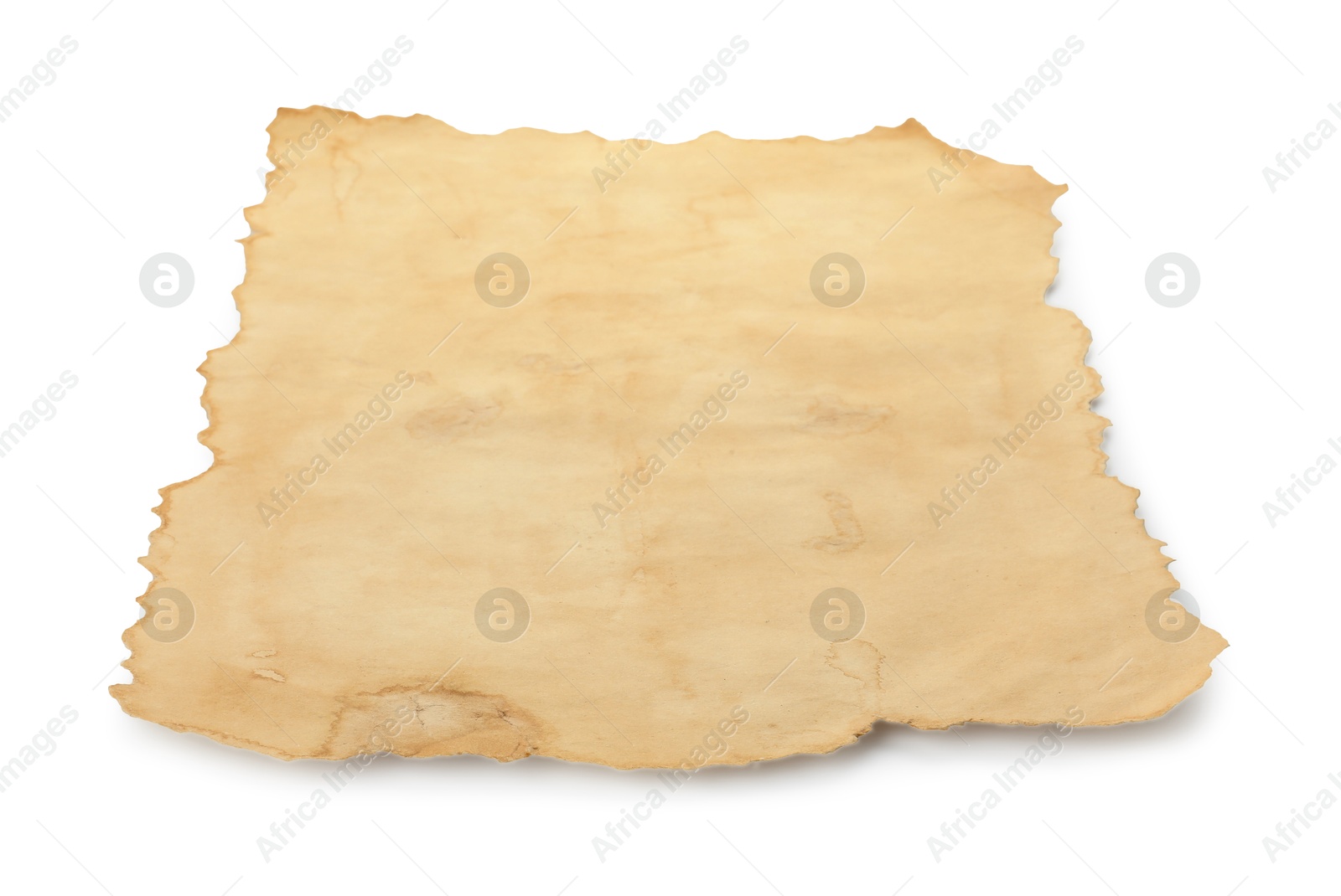 Photo of Sheet of old parchment paper isolated on white