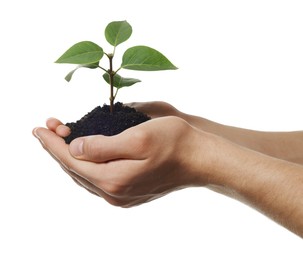 Environmental protection. Man holding seedling with pile of soil on white background, closeup