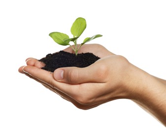 Photo of Environmental protection. Man holding seedling with pile of soil on white background, closeup