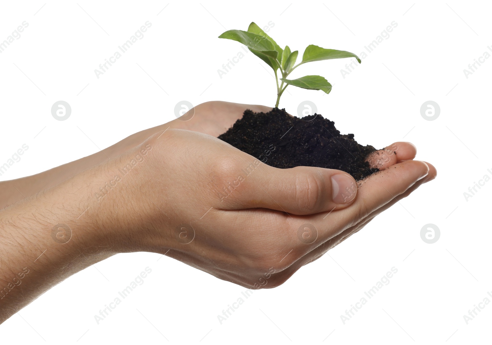 Photo of Environmental protection. Man holding seedling with pile of soil on white background, closeup