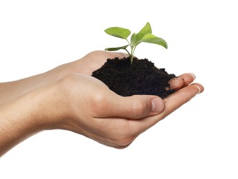 Photo of Environmental protection. Man holding seedling with pile of soil on white background, closeup