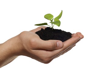 Environmental protection. Man holding seedling with pile of soil on white background, closeup