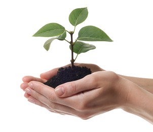 Photo of Environmental protection. Woman holding seedling with pile of soil on white background, closeup