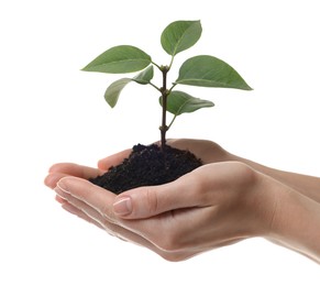 Environmental protection. Woman holding seedling with pile of soil on white background, closeup