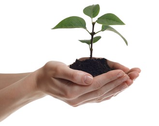 Environmental protection. Woman holding seedling with pile of soil on white background, closeup