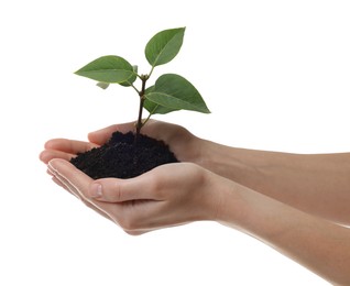 Environmental protection. Woman holding seedling with pile of soil on white background, closeup