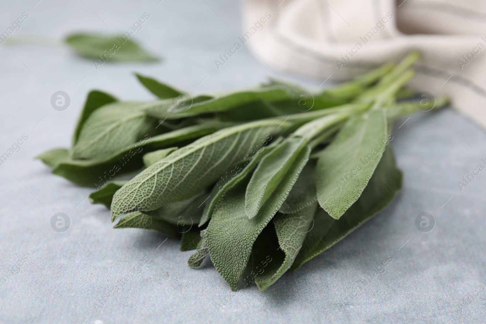 Photo of Fresh sage leaves on grey table, closeup