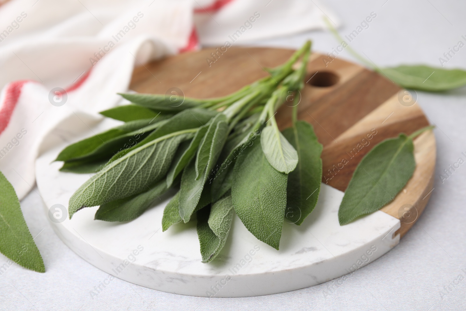 Photo of Fresh sage leaves on light table, closeup