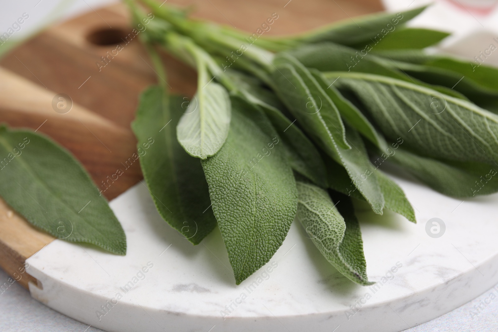 Photo of Fresh sage leaves on light table, closeup