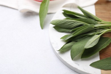 Photo of Fresh sage leaves on light table, closeup. Space for text