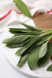 Fresh sage leaves on light table, closeup