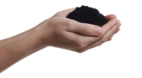 Woman holding pile of soil on white background, closeup