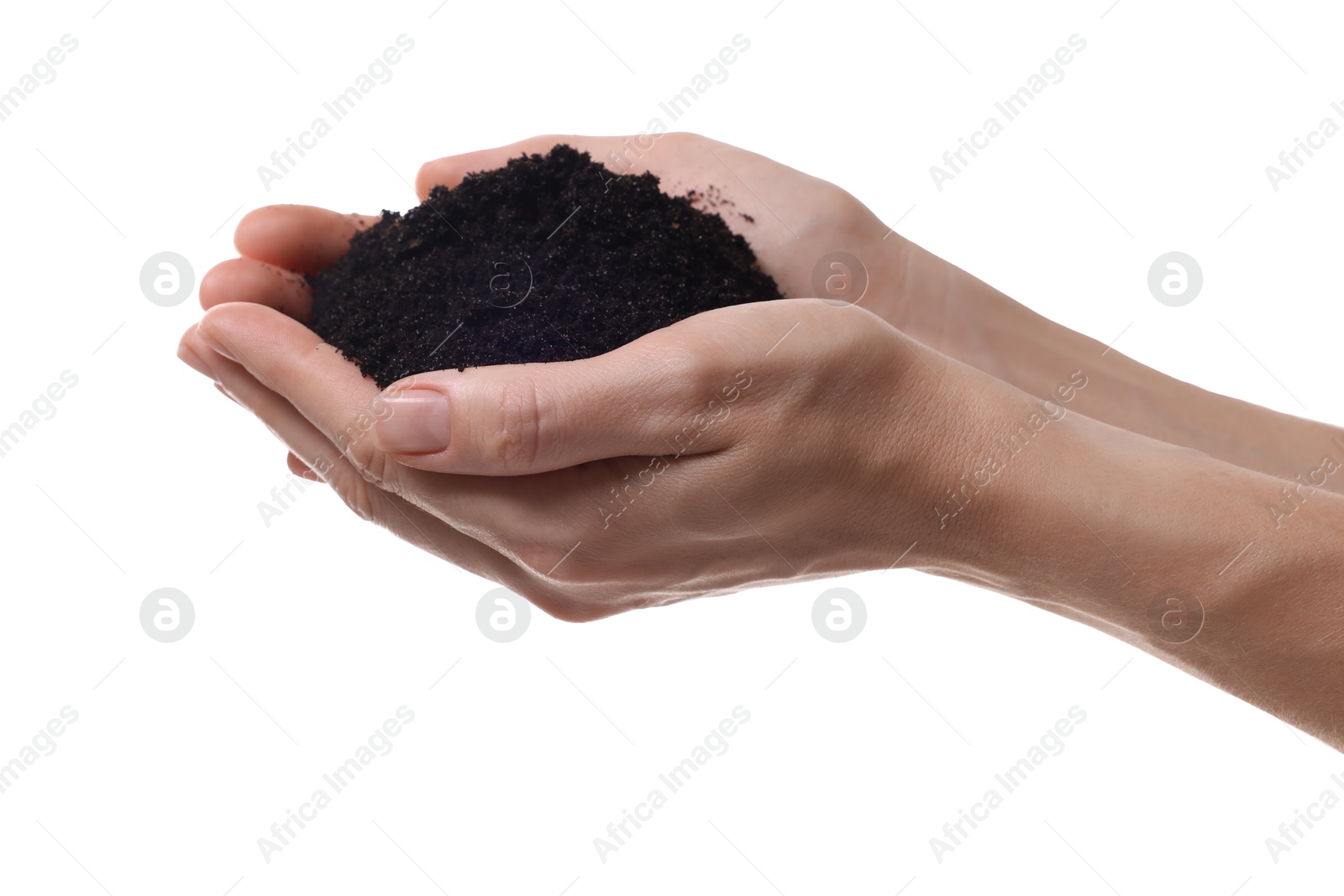 Photo of Woman holding pile of soil on white background, closeup